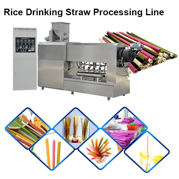 Single Screw Extruder Macaroni Pasta Degradable Drinking Straw Processing Line Making Machine #1 image