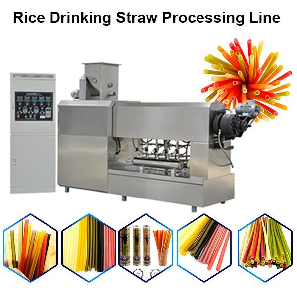 Vegetable Straws Edible Rice Drinking Straws Pasta Rice Straws Making Machinery #1 image