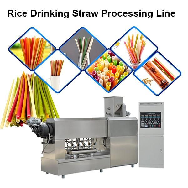 Edible Eco Friendly 100-150kg/H Best Quality Rice Making Drinking Straw Machine Pasta Straw Extruder #1 image