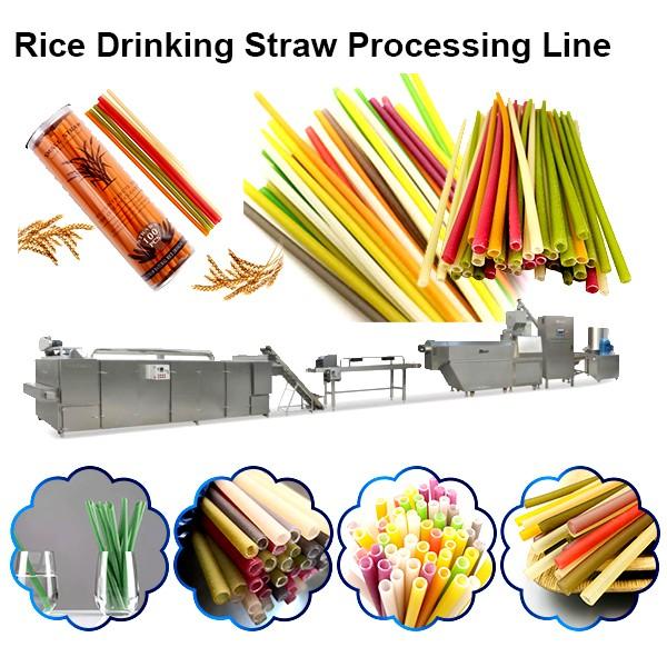 Macaroni Pasta Degradable Drinking Straw Production Line Extruder Making Machines #1 image