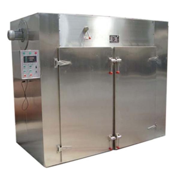 Industrial Belt Food Dehydrator Machine #1 image