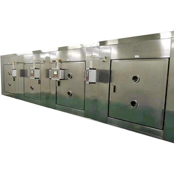 Commercial Continuous Industrial Microwave Tunnel Fruit Leaves Dryer #3 image