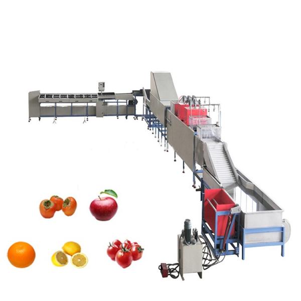 Apple/Mango/Pineapple/Orange Fruit Juice/Beverage Vetegable Concentrate Production Processing Line Pear/Peach/Lemon/Banana/Avocado Juice Making Filling Line #3 image