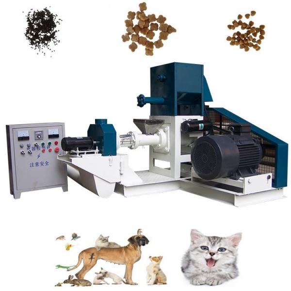 Automatic Dry Floating Sinking Animal Pet Fish Dog Cat Feed Food Pellet Processing Making Machine #1 image