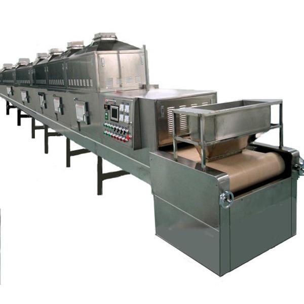 Vacuum Microwave Tray Drying Oven for Drying Fruit/Food/Chemical/Vegetable/Meat. #1 image