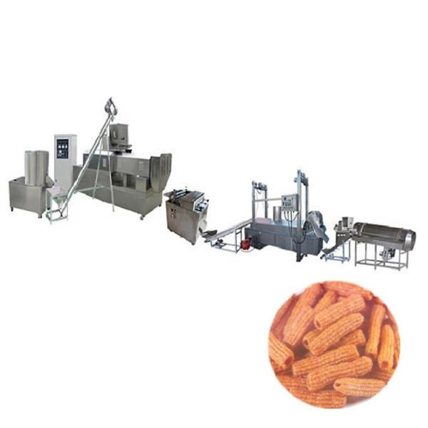 Saibainuo Automatic Corn Puff Core Filled Filling Stick Snack Food Cheese Ball Breakfast Cereal Flake Bread Crumb Making Processing Equipment Extruder Machine #1 image