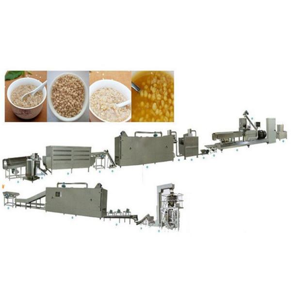Jinan Datong Full Automatic Extruded Wheat Fried 3D Pellet Bugles Crispy Chips Snack Food Processing Making Machine #1 image