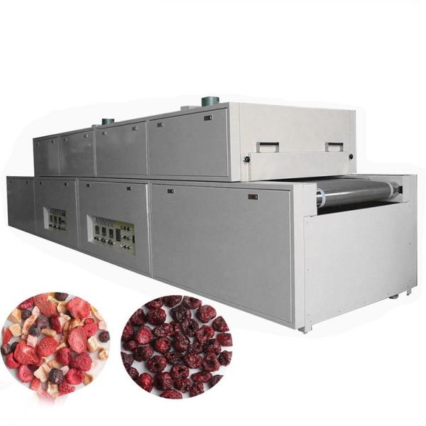 Low Temperature Industrial Electric Vacuum Microwave Tray Oven Dryer #1 image