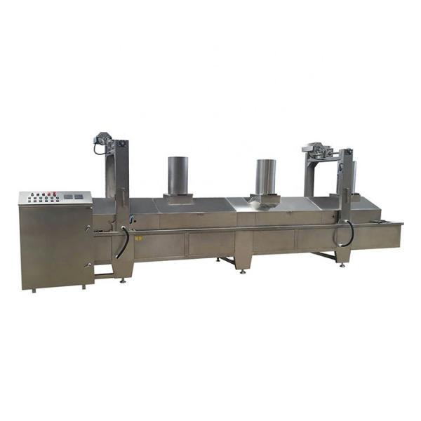 Automatic Chips Frying Machine for Sale #1 image